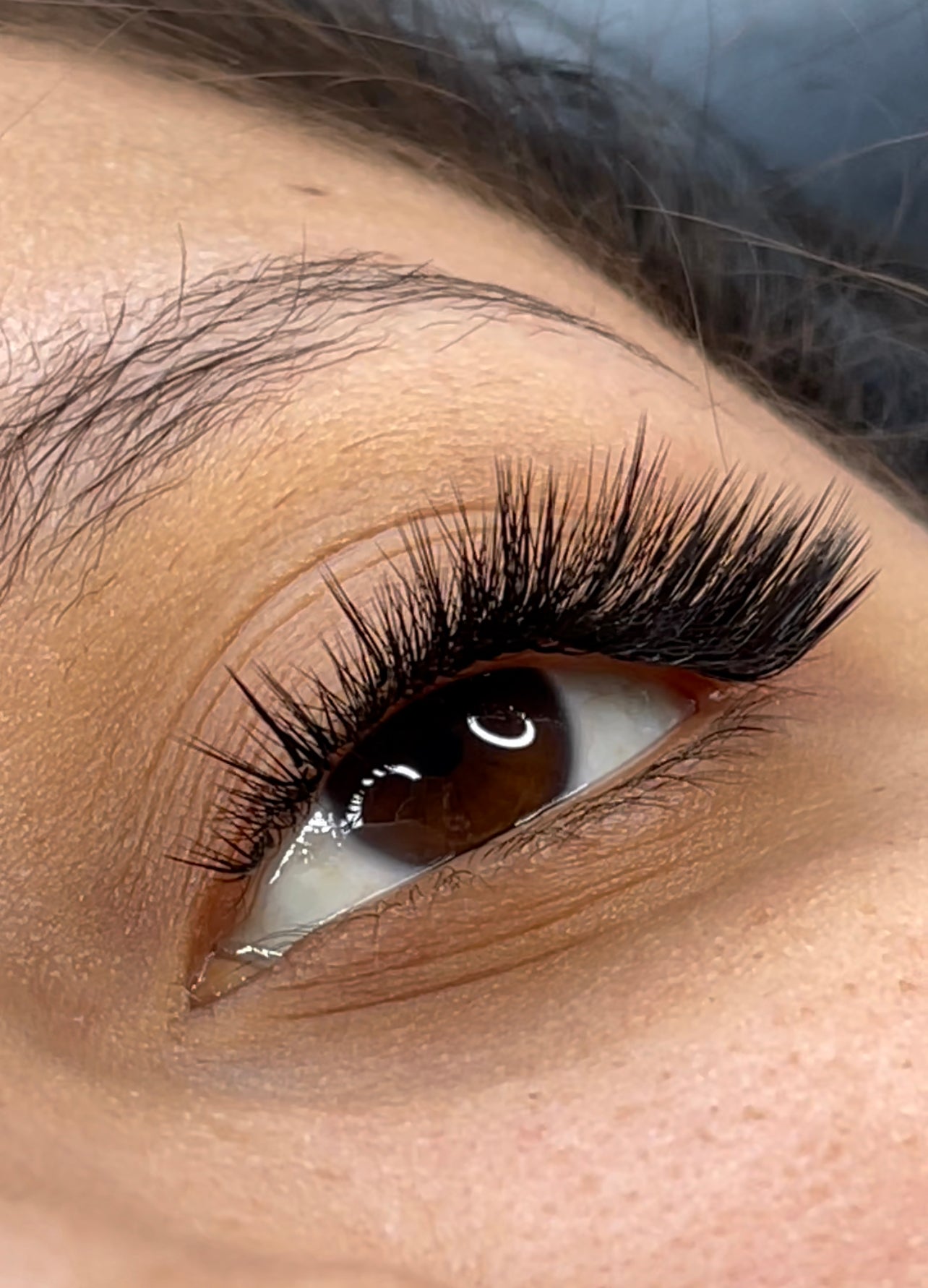L curl mixed trays